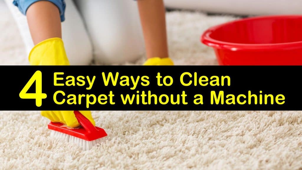 Carpet Cleaning Near Me