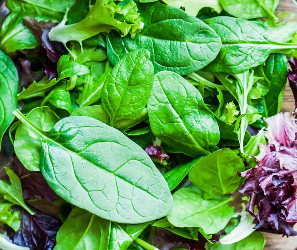 salad greens are fast-growing plants that need moist soil