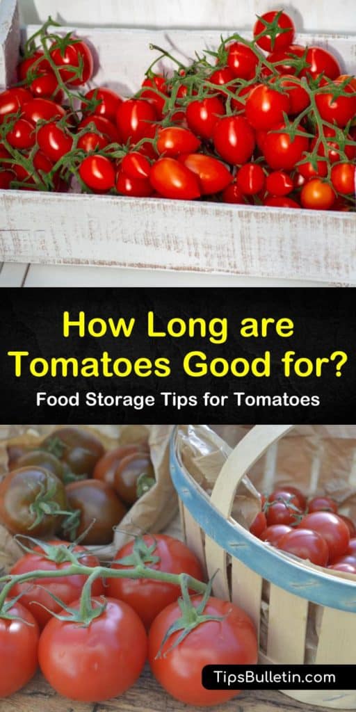 Discover just how long are tomatoes good for on the countertop. Learn how to store unripe tomatoes in a paper bag to increase longevity. Whether you plan to store tomatoes in the freezer or will refrigerate them, we explain the shelf life and procedures for each option. #tomatoes #good #ripe