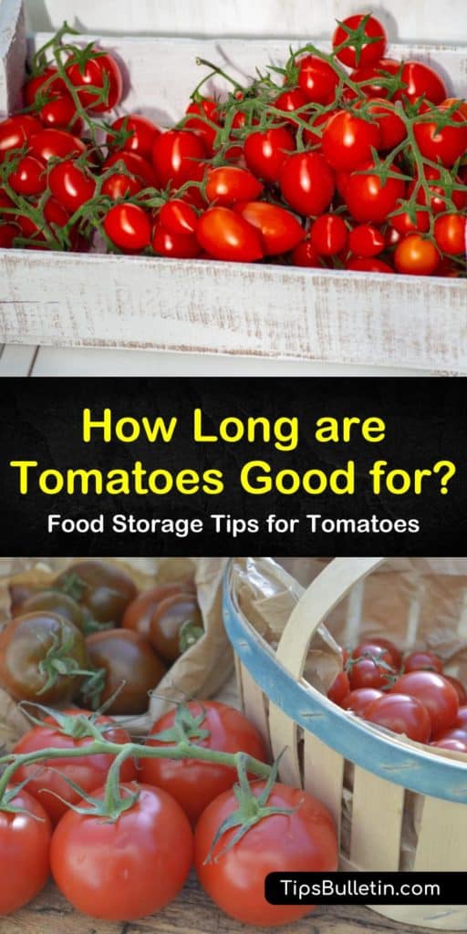 Discover just how long are tomatoes good for on the countertop. Learn how to store unripe tomatoes in a paper bag to increase longevity. Whether you plan to store tomatoes in the freezer or will refrigerate them, we explain the shelf life and procedures for each option. #tomatoes #good #ripe