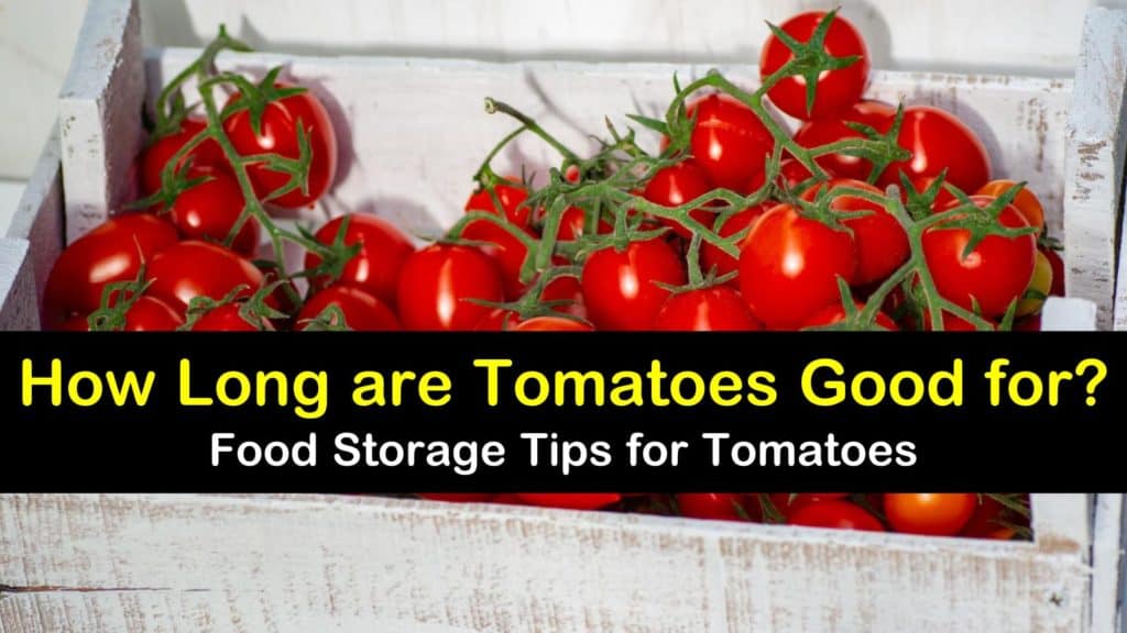 How Long are Tomatoes Good for? titleimg1