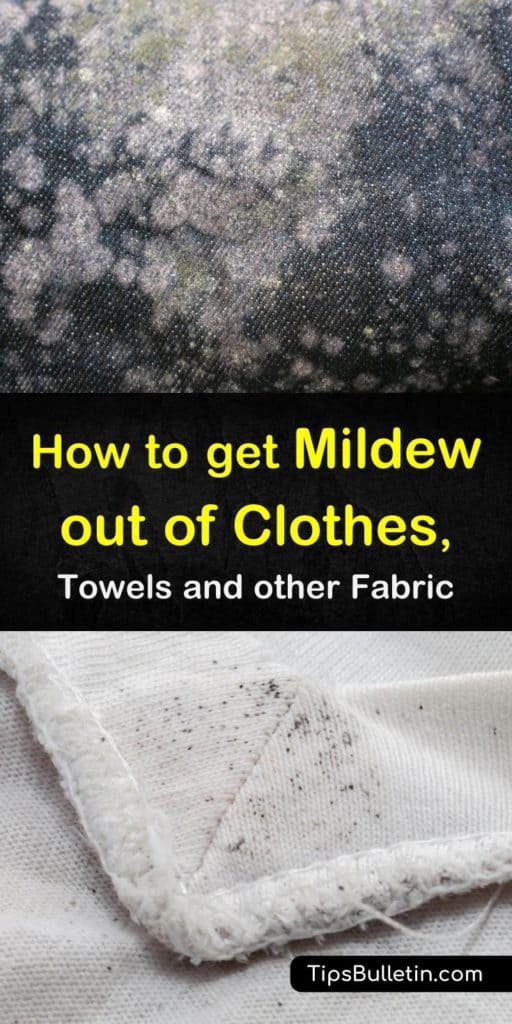 Remove mold stains from your laundry! Our guide shows you how to remove signs of mold from your fabrics using nothing more than hydrogen peroxide, baking soda, vinegar, and your washing machines! Get mildew out of clothes safely with our help! #mildew #mold #laundry #clothes