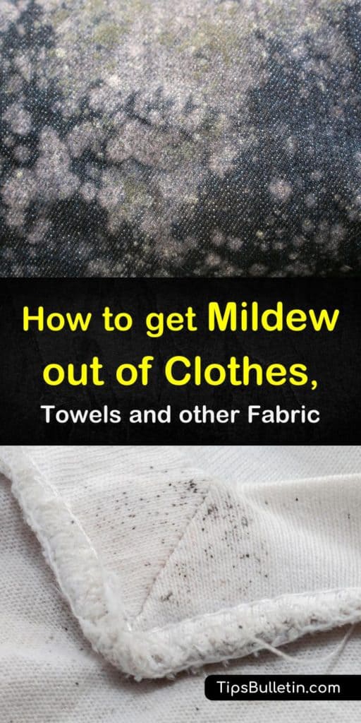 9 Smart & Simple Ways to Get Mildew Out of Clothes