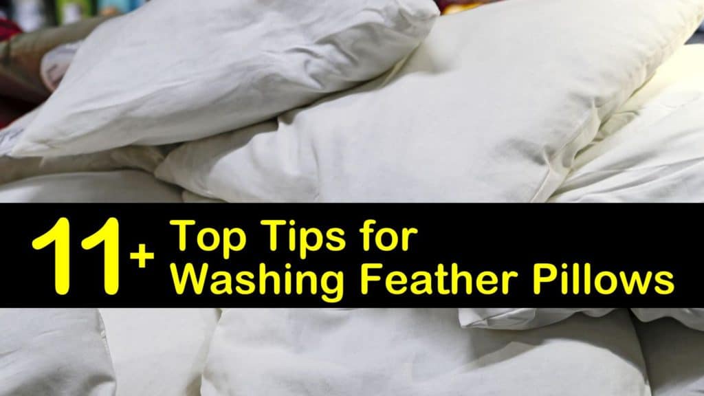 How To Wash Feather Pillows Martha Stewart – Proper Care Keeps Feather Pillows Cozy In The Long Haul | The Pillow … | Wash Feather Pillows, Feather Pillows, Pillows