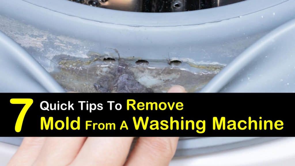 Mold in Washing Machine titleimg1