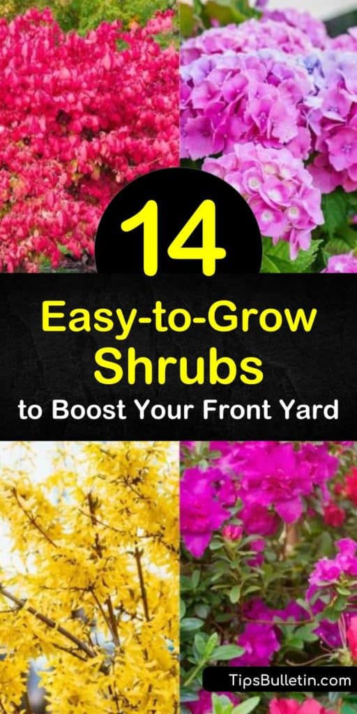 Use flowering shrubs to provide a burst of color to the landscape. From azalea to spirea bushes to an evergreen shrub we show you ones that bloom in the early spring, ones that require part shade, and ones you don’t have to prune. #shrubs #easyshrubs #growingshrubs