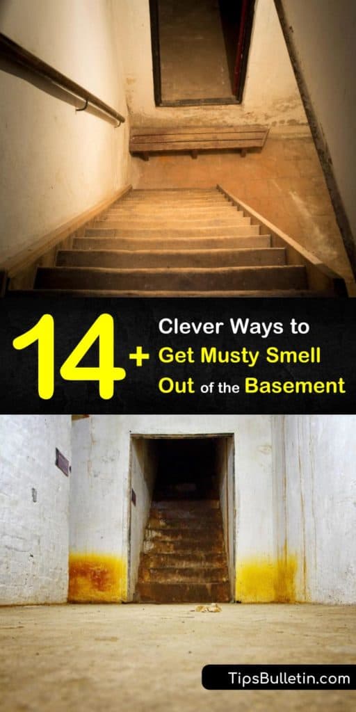 Did you know that mold spores in a basement growing in water damage create basement odors? No worries since a musty basement can be cleaned with baking soda, white vinegar, or bleach. #mustysmell #basement #basementmold #basementsmell #smelly