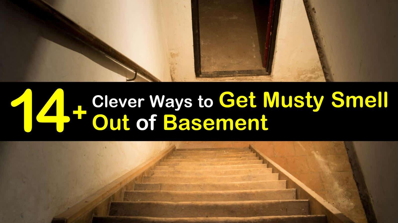 14 Clever Ways To Get Musty Smell Out Of Basement