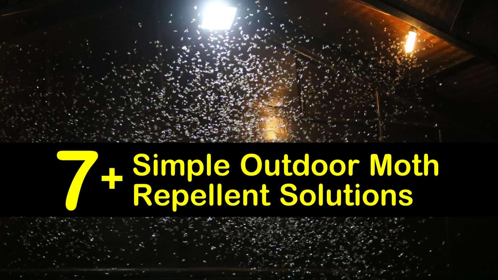7 Simple Outdoor Moth Repellent Solutions