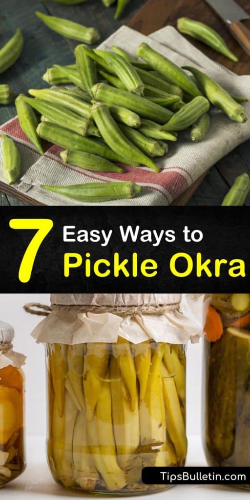 Discover how easy it is to pickle okra with a few simple ingredients. Create tasty pickled okra with cider vinegar or white vinegar, garlic cloves, mustard seeds, dill seeds, and a few canning jars and okra pods. #pickleokra #pickle #okra #recipe #pickledokra