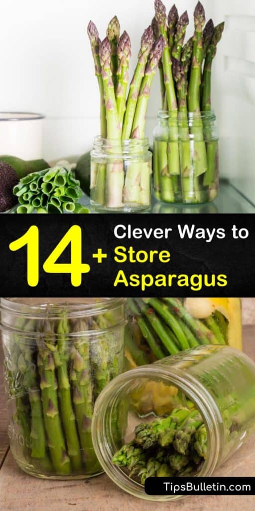 Learn how to store fresh asparagus in the crisper by wrapping the cut ends in paper towel, or refrigerate them by wrapping the bunch in a rubber band and placing the cut ends in an inch of water to prevent the veggies from getting mushy. #storing #fresh #asparagus #storage #storeasparagus