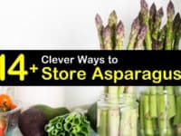 How to Store Asparagus titleimg1