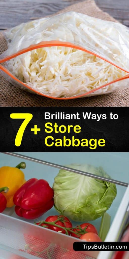 Learn how to store cabbage in the root cellar, or refrigerate a head of cabbage in the crisper drawer of the fridge. Cut cabbage loses vitamin C and is easy to make into sauerkraut or coleslaw for easy storage. #storingcabbage #store #cabbage #cookedcabbage