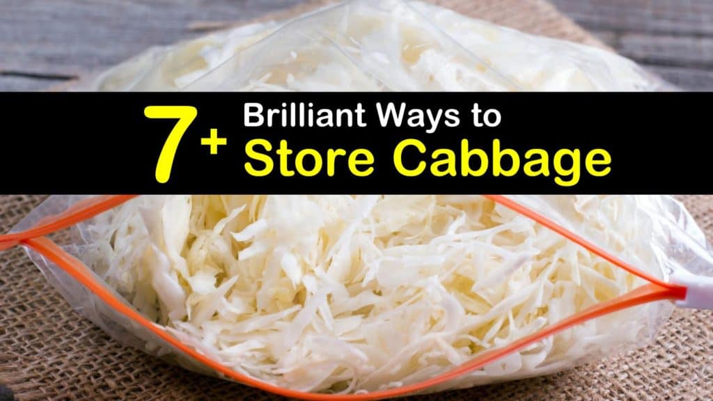 How to Store Cabbage titleimg1