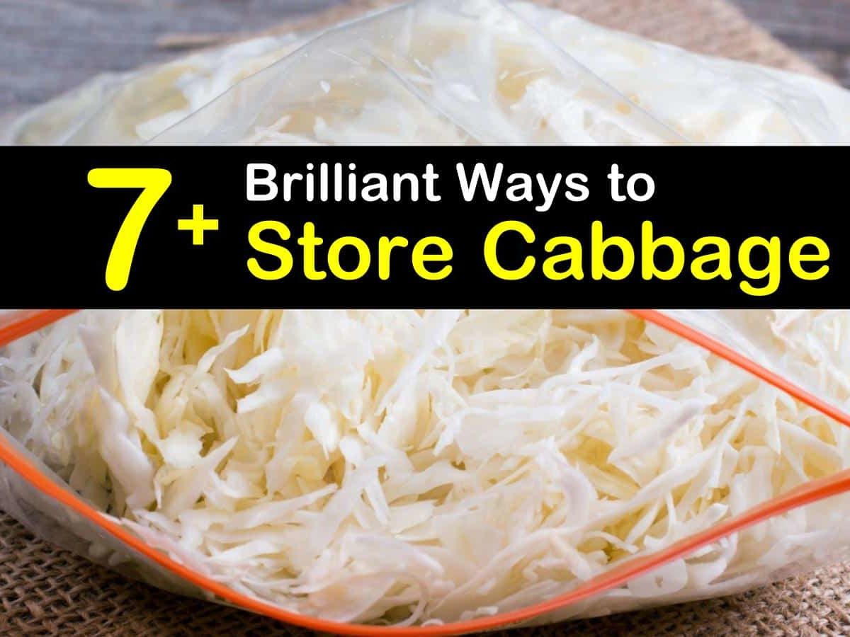How To Store Shredded Cabbage