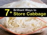 How to Store Cabbage titleimg1