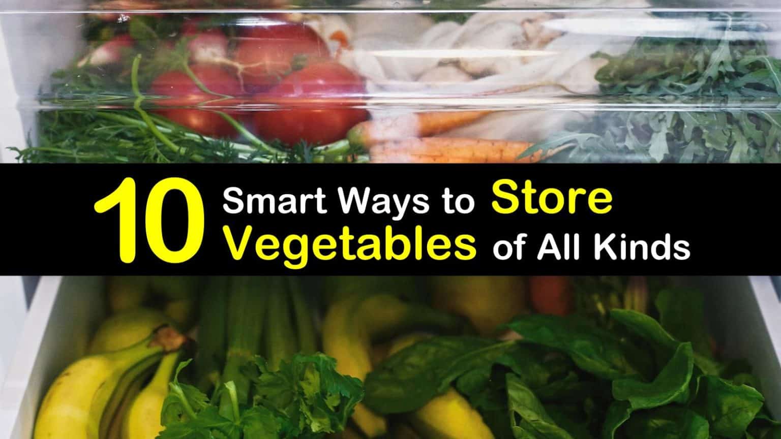 10 Smart Ways to Store Vegetables of All Kinds