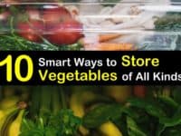 How to Store Vegetables titleimg1