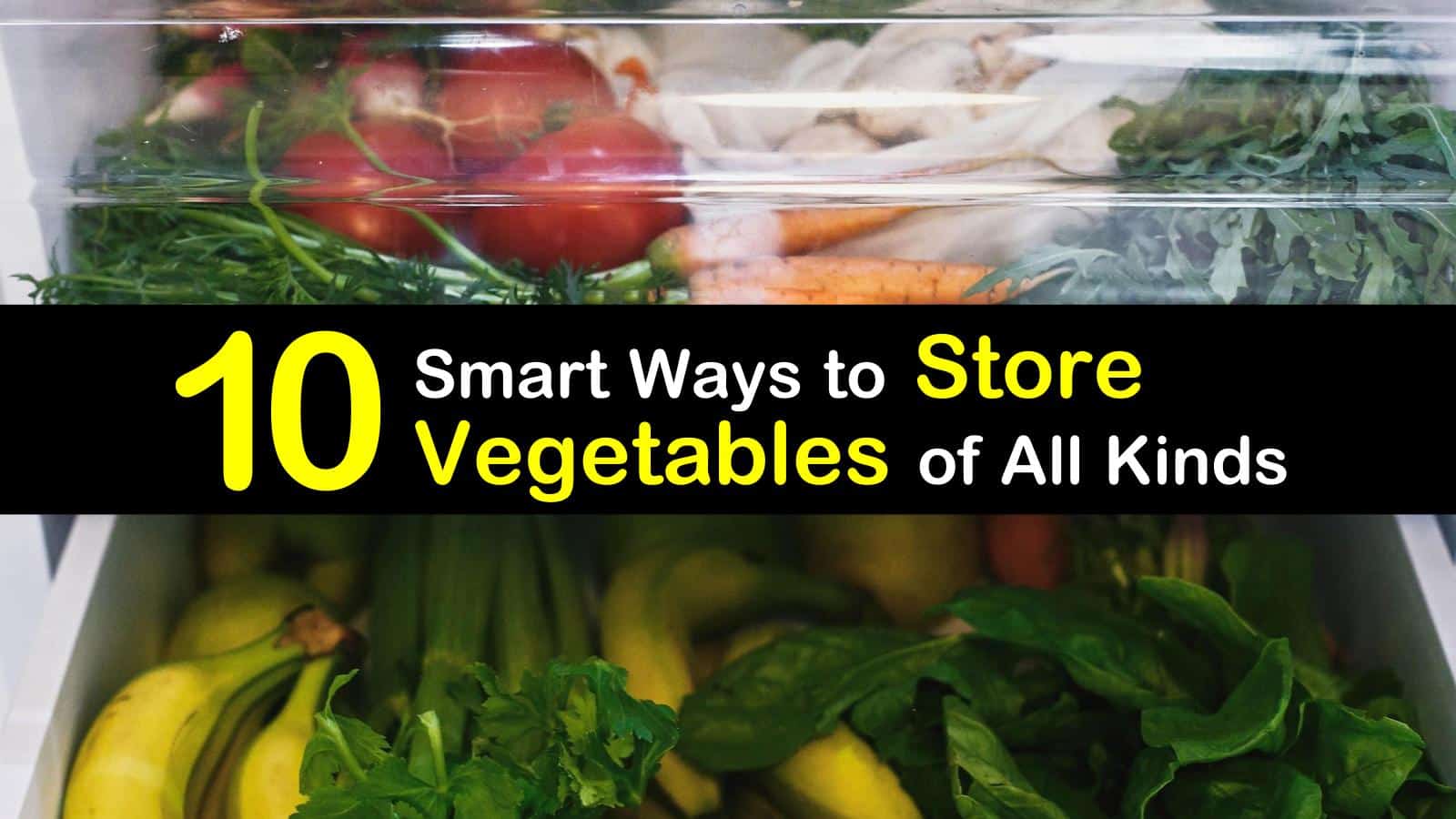 10 Smart Ways to Store Vegetables of All Kinds