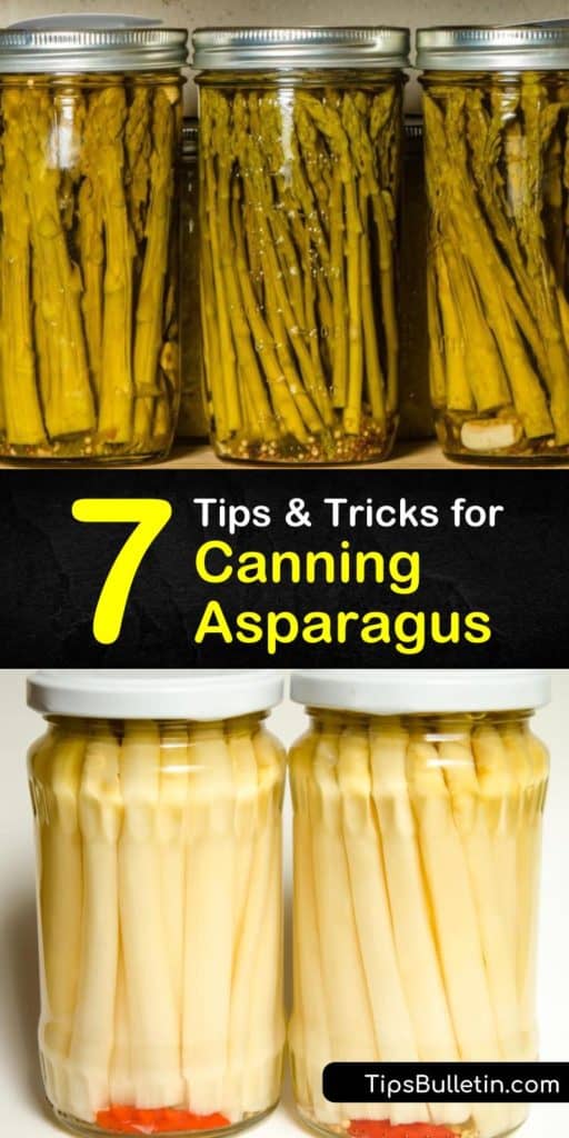This step-by-step guide will walk you through all the basics of canning asparagus spears. Whether you’re debating between pint jars or quart jars, or pickling asparagus in a water bath, this article provides you with every tool you need for canning fresh asparagus. #canning #asparagus #recipes