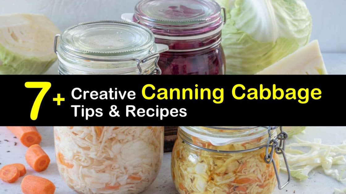 7+ Creative Canning Cabbage Tips & Recipes