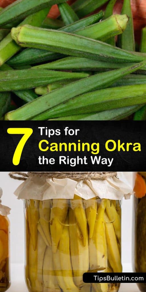 Learn how to can fresh okra using these tips and tricks. Our favorite okra recipes include adding apple cider vinegar or garlic cloves to pint jars with hot water, so you don’t even require a canner. #canningokra #howtocan #okra #okrarecipes