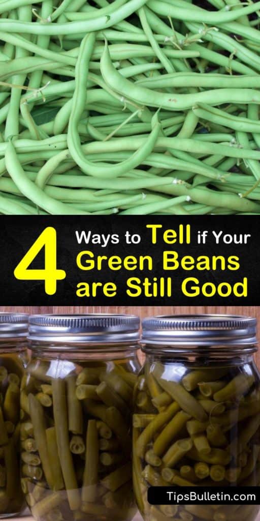 Learn how long are snap beans good for, whether you enjoy fresh beans or prefer to blanch and freeze green beans for long-term storage. #greenbeans #howlong #greenbeansgood #beans