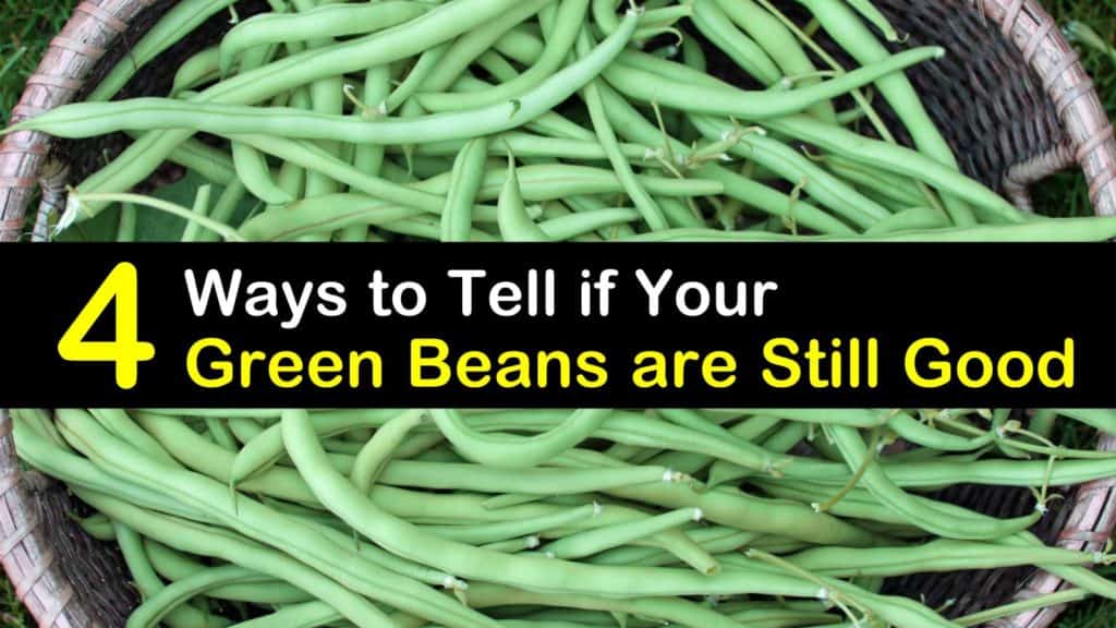 How Long are Green Beans Good for?