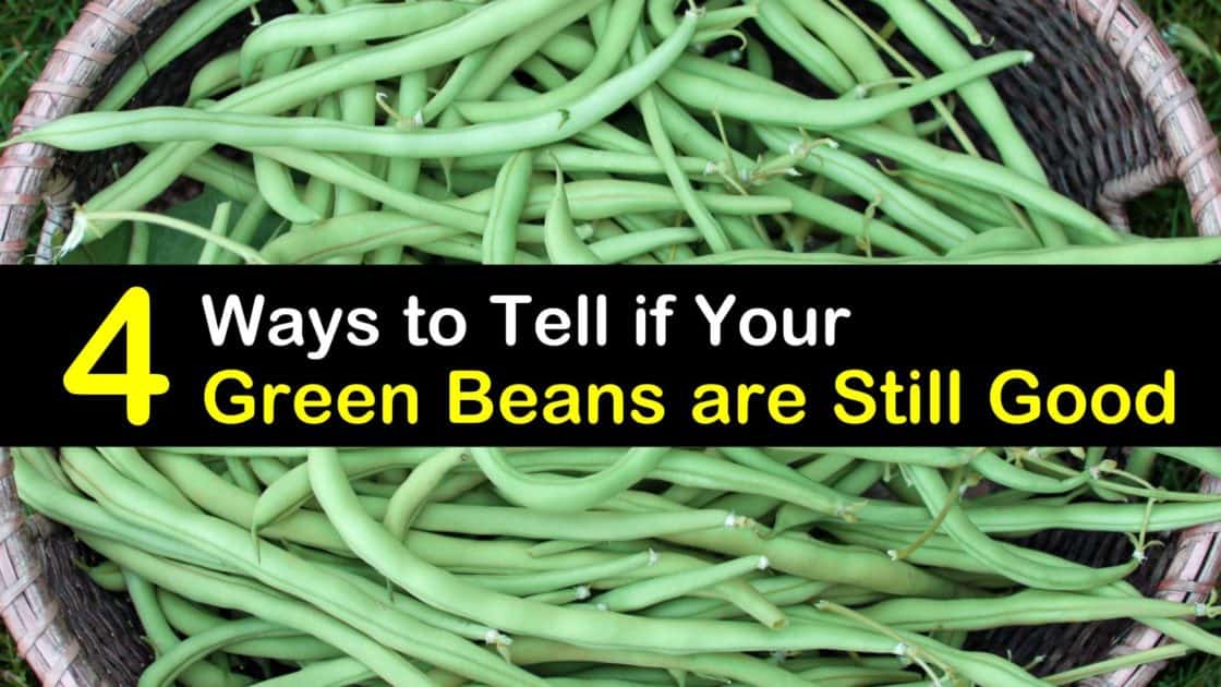 4 Ways to Tell if Your Green Beans are Still Good - Tips Bulletin