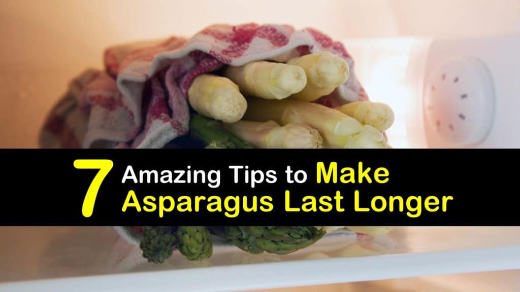 How Long Does Asparagus Last? titleimg1