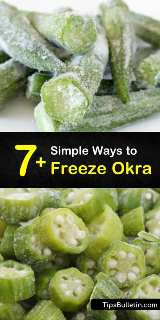 Learn how to freeze fresh okra with and without blanching and store them in freezer bags for up to one year. Freezing okra is easy, whether it is cooked or fried okra for soups and stews, or freeze dried okra for snacking. #howto #freezeokra #freezingokra #freeze #okra