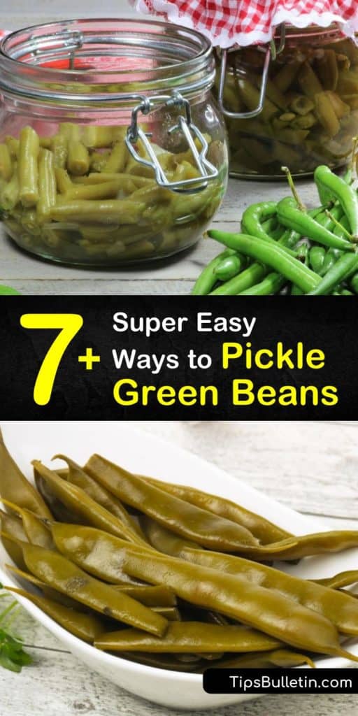 Give your fresh green beans a makeover and transform them into a crunchy, pickled snack. All you need are pint jars, a water bath, and ingredients like black peppercorns and red pepper flakes to make our delicious dilly beans. #pickled #green #beans #recipes