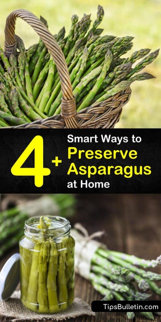 Canning methods make some veggies mushy. Explore different ways to preserve asparagus spears, from making pickled asparagus to frozen asparagus and keep them nice and fresh. #preservingasparagus #asparagus #preserve