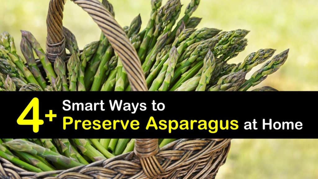 How to Preserve Asparagus titleimg1