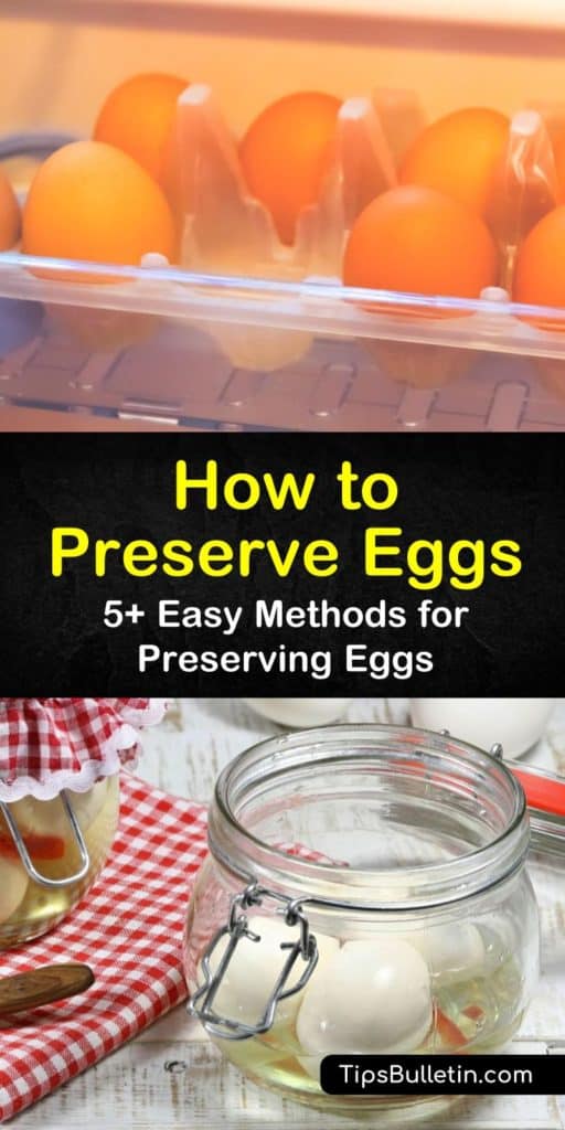 Learn how fresh eggs can be stored for years to come by using mineral oil and water glass. This guide includes everything you need to know for when you want to preserve eggs, store eggs, or even make pickled eggs. #preserve #fresh #eggs #storeeggs