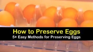 How to Preserve Eggs titleimg1