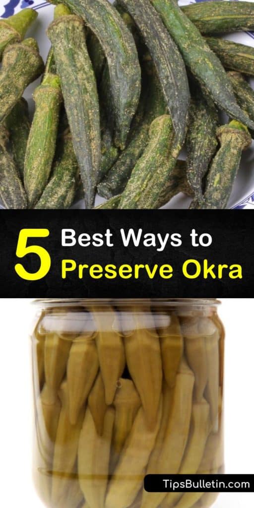 Learn how to preserve fresh okra from your garden while keeping it packed with flavor. This guide teaches you everything you need to know from blanching small pods in ice water, to freezing okra so you can throw it in a future gumbo. #preserve #fresh #okra