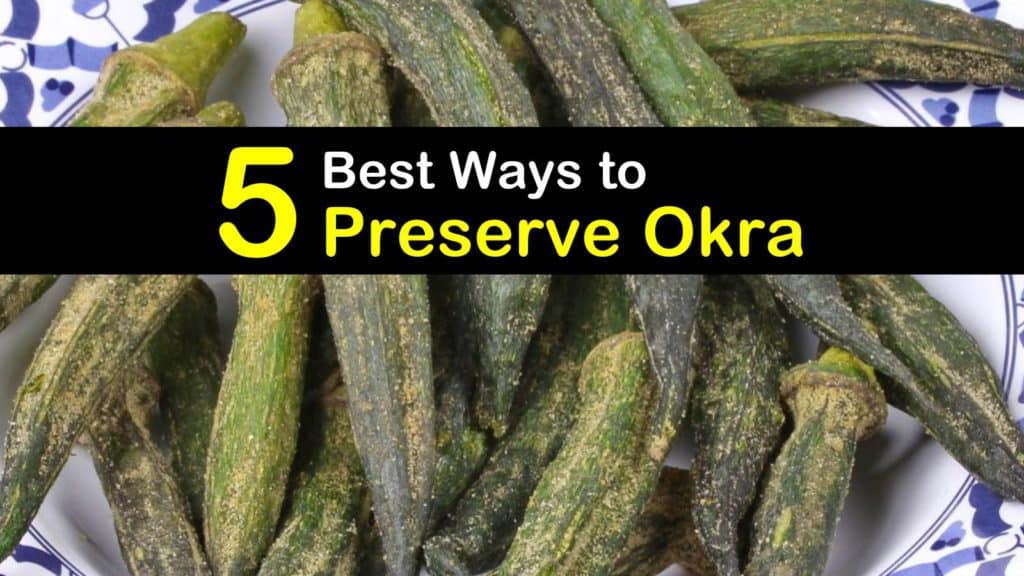 How to Preserve Okra titleimg1