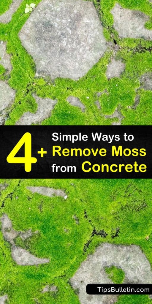 Learn how to remove moss from concrete surfaces as a DIY home improvement project. Cover the affected area with baking soda and use a scrub brush for scrubbing away dead moss, or spray with a bleach solution. #concretemossremover #removingmoss #moss #concrete #cleaning