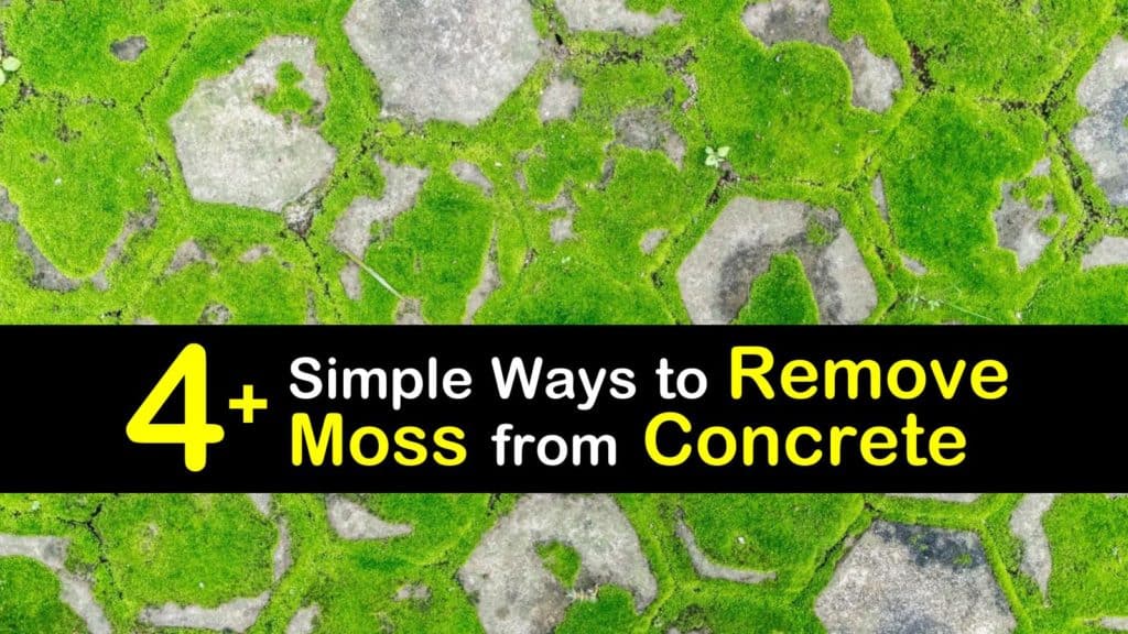 How to Remove Moss from Concrete