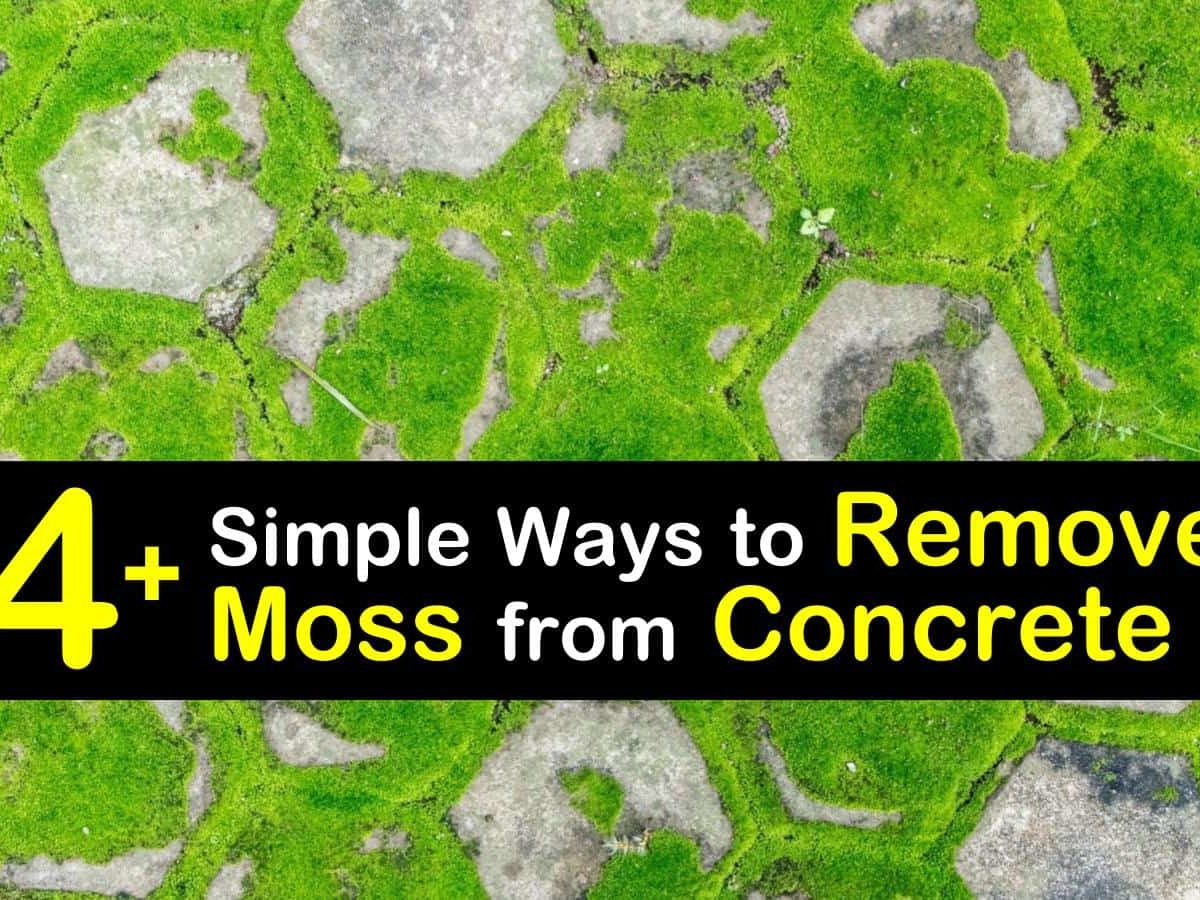 How To Get Rid Of Moss On Garden Paths Fasci Garden