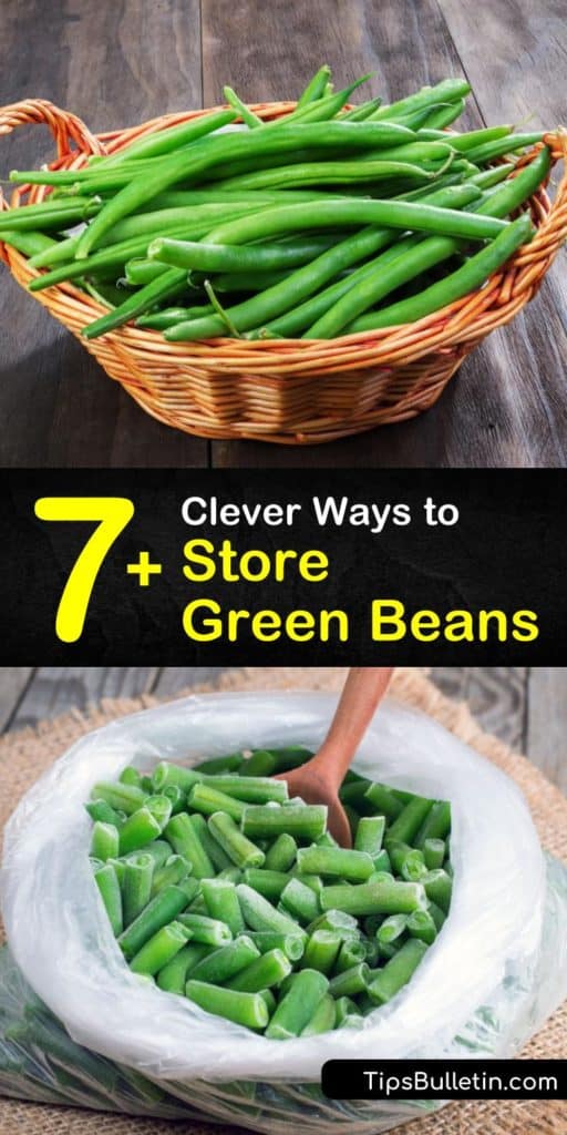 Learn how to store fresh green beans from the garden or farmer’s market to keep them fresh and tasty. Wrap fresh beans in paper towel, and store them in a plastic bag in the crisper drawer, or freeze green beans for casseroles and stir fry. #greenbeanstorage #store #greenbeans #storingbeans