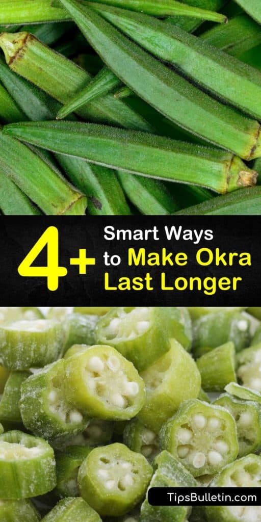 Consume delicious okra pods year-round with these recipes that store okra for long periods of time. Blanching okra plants is the first step in storing fresh okra that can be made into pickles, soups, and gumbo. You don’t want to miss out on these tasty dishes. #long #okra #last