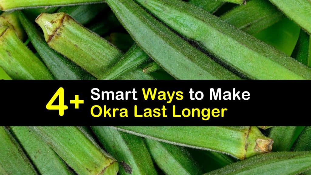 How Long Does Okra Last? titleimg1