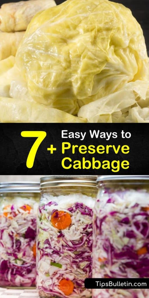 This is the ultimate guide for preserving fresh cabbage. These recipes walk you through blanching veggies, root cellar storage, frozen cabbage, and even coleslaw. Grab your favorite green, Napa, or red cabbage and eat this hearty veggie all winter long. #preserve #fresh #cabbage