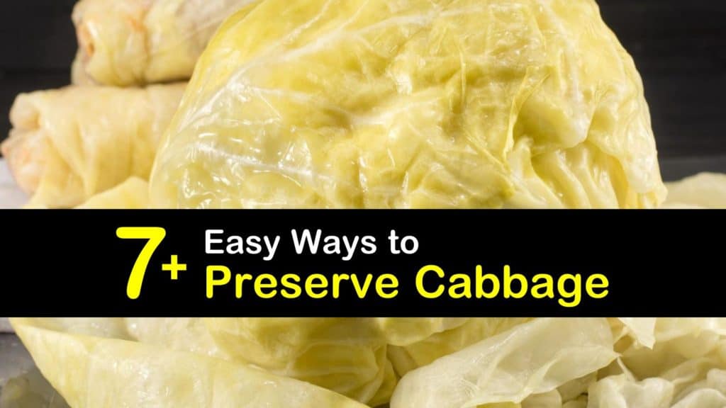 How to Preserve Cabbage titleimg1