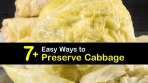 How to Preserve Cabbage titleimg1