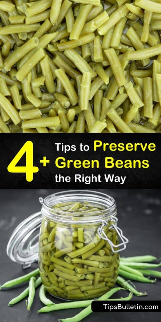 If you bought too many green beans from the farmers market, try food preservation. Skip the blanching fresh green beans in an ice water bath by placing them directly in freezer bags or try to pickle the beans. #preservegreenbeans #greenbeans #howtopreserve #beans