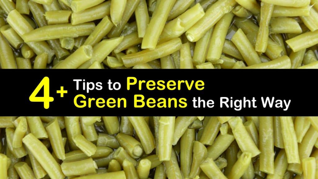 How to Preserve Green Beans titleimg1