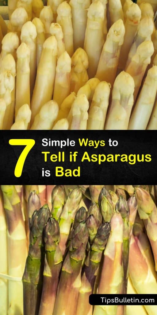 All your questions regarding the shelf life of asparagus spears are answered in this article including tips on how to store asparagus and other veggies, if the dark green color is normal, and even what to do with that pesky rubber band that holds them together. #badasparagus #asparagus #bad